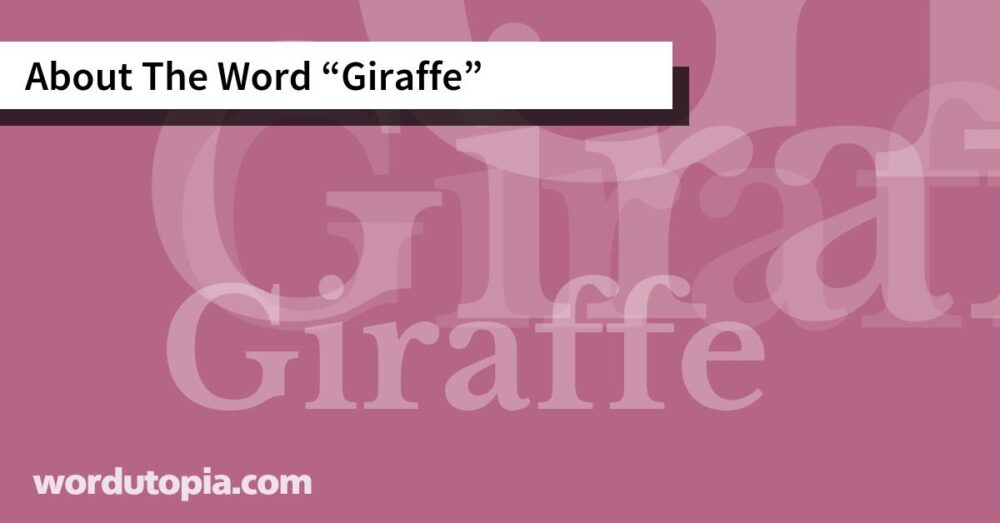 About The Word Giraffe