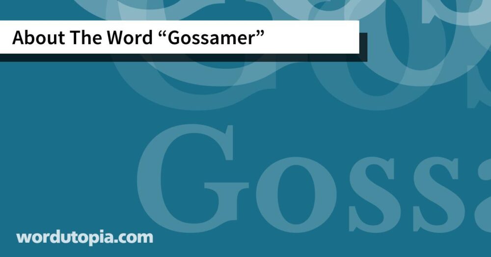 About The Word Gossamer
