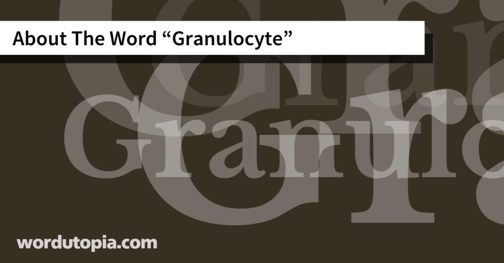 About The Word Granulocyte