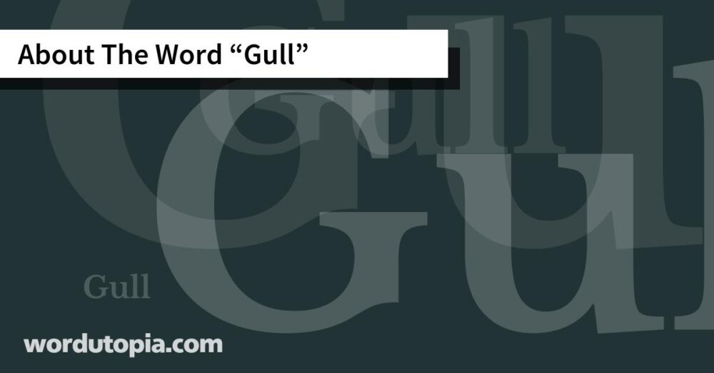 About The Word Gull