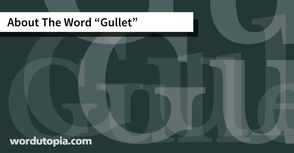 About The Word Gullet