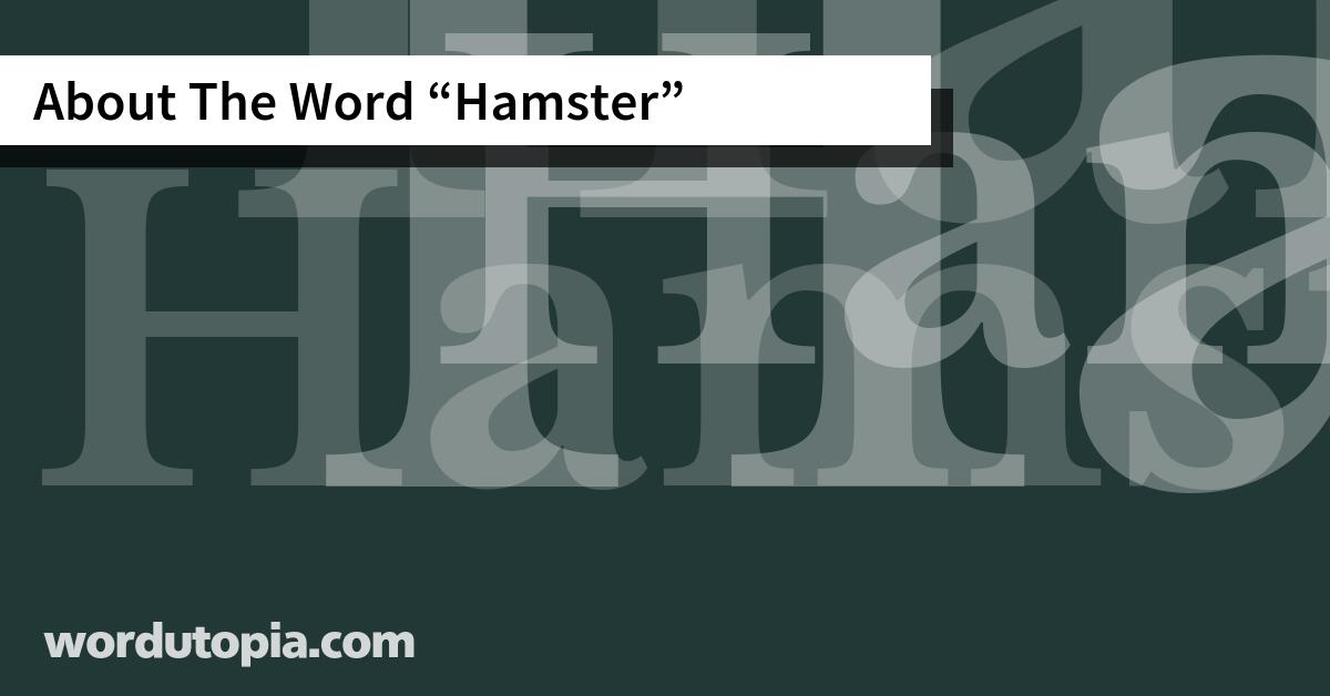 About The Word Hamster