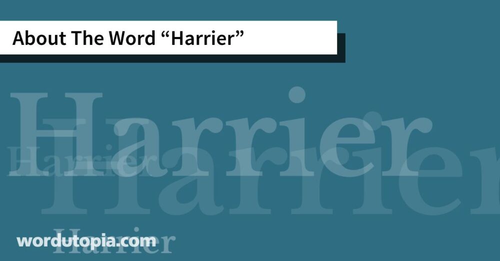 About The Word Harrier