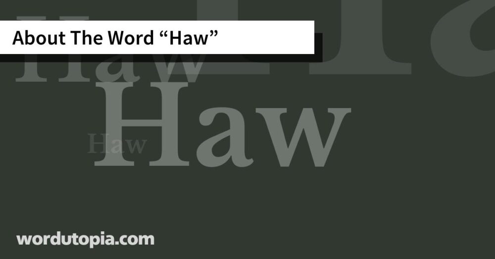 About The Word Haw