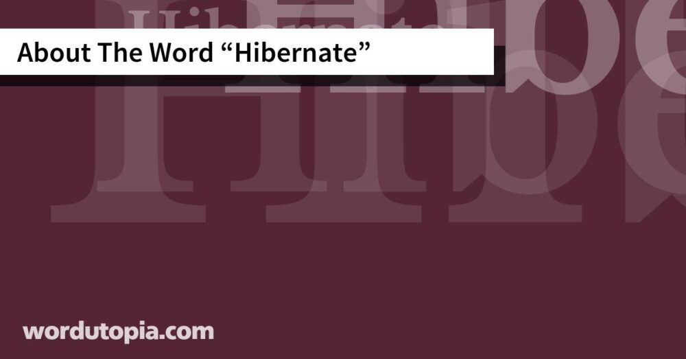 About The Word Hibernate