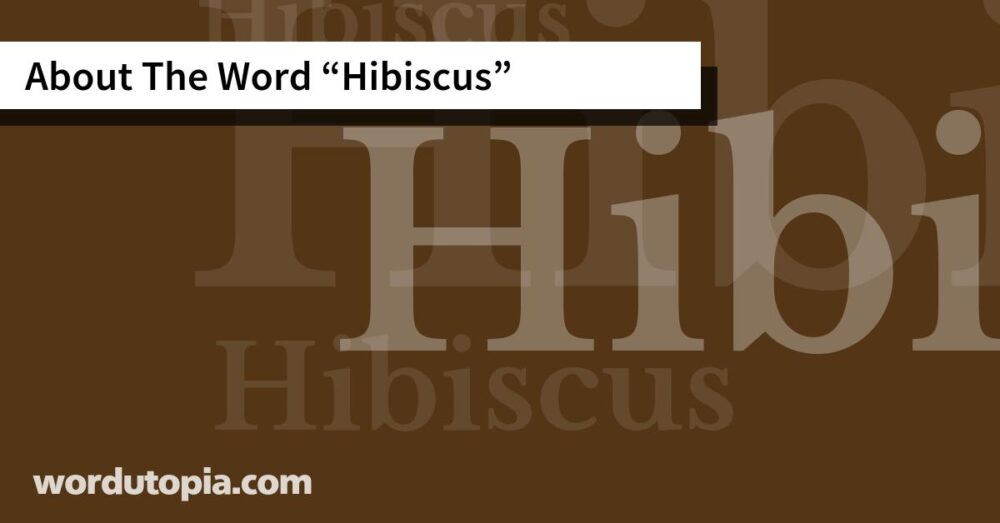 About The Word Hibiscus