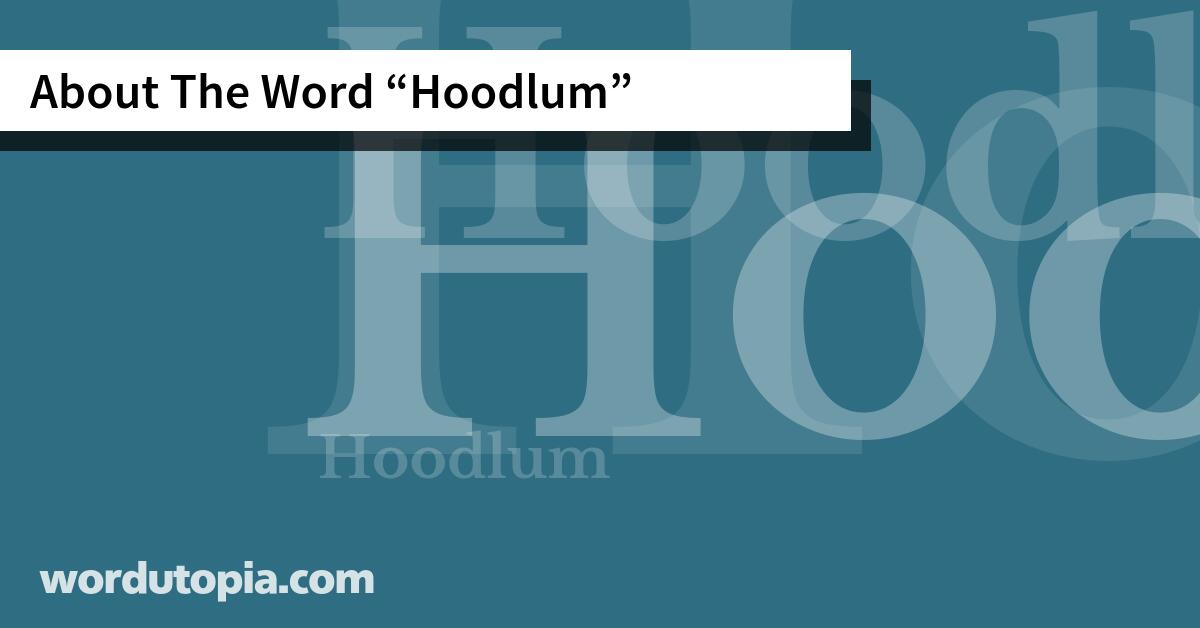 About The Word Hoodlum