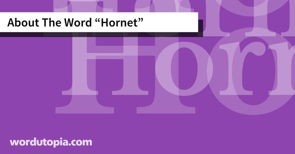 About The Word Hornet