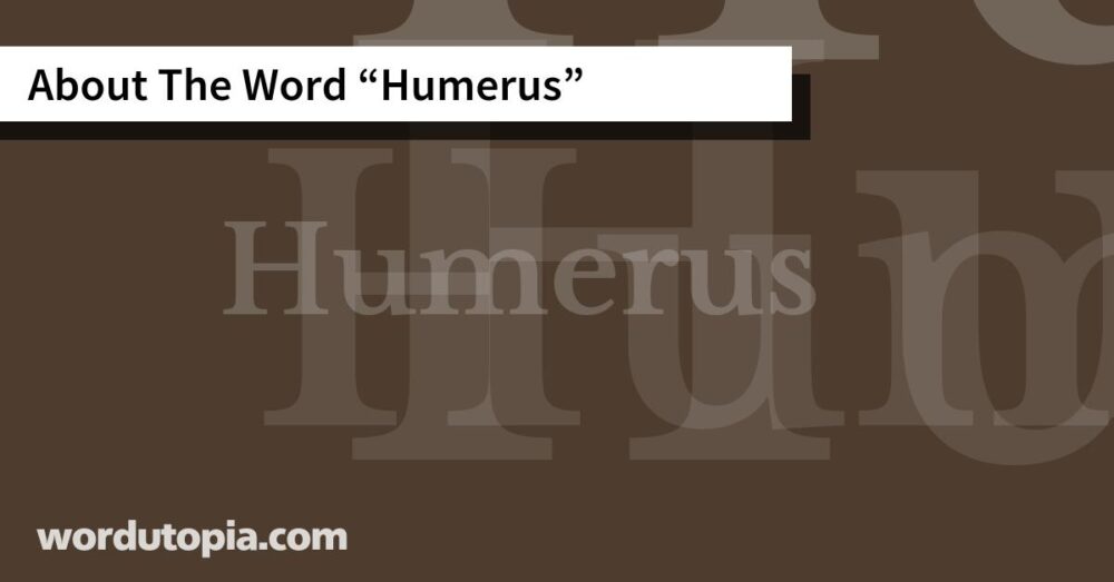 About The Word Humerus