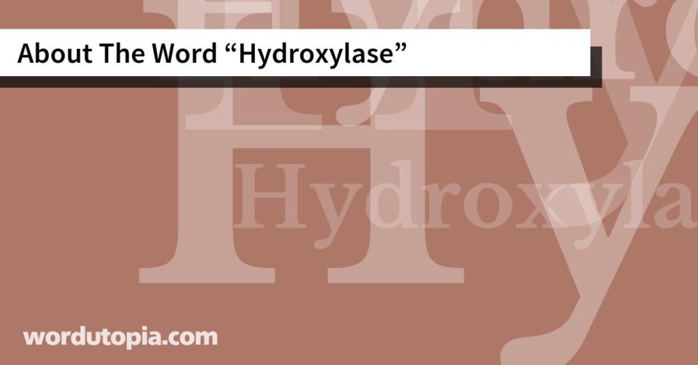 About The Word Hydroxylase