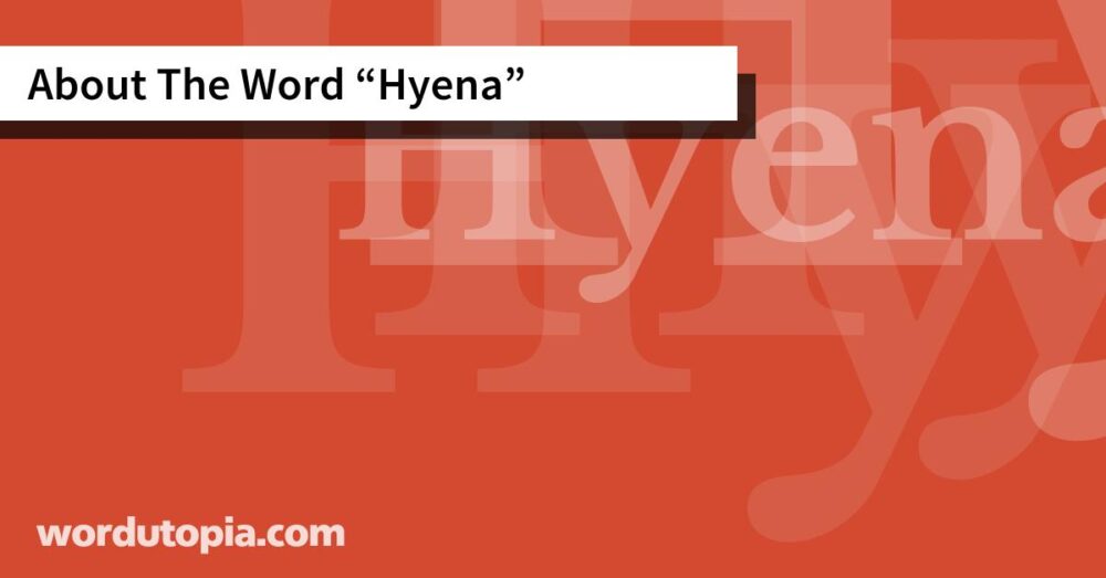 About The Word Hyena
