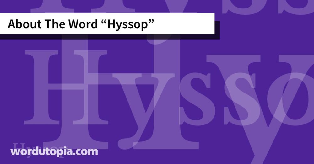 About The Word Hyssop