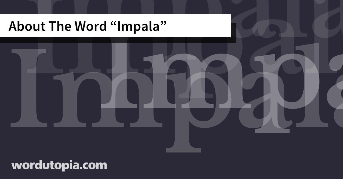 About The Word Impala