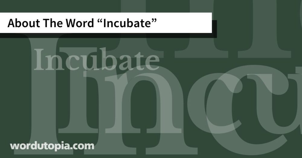 About The Word Incubate