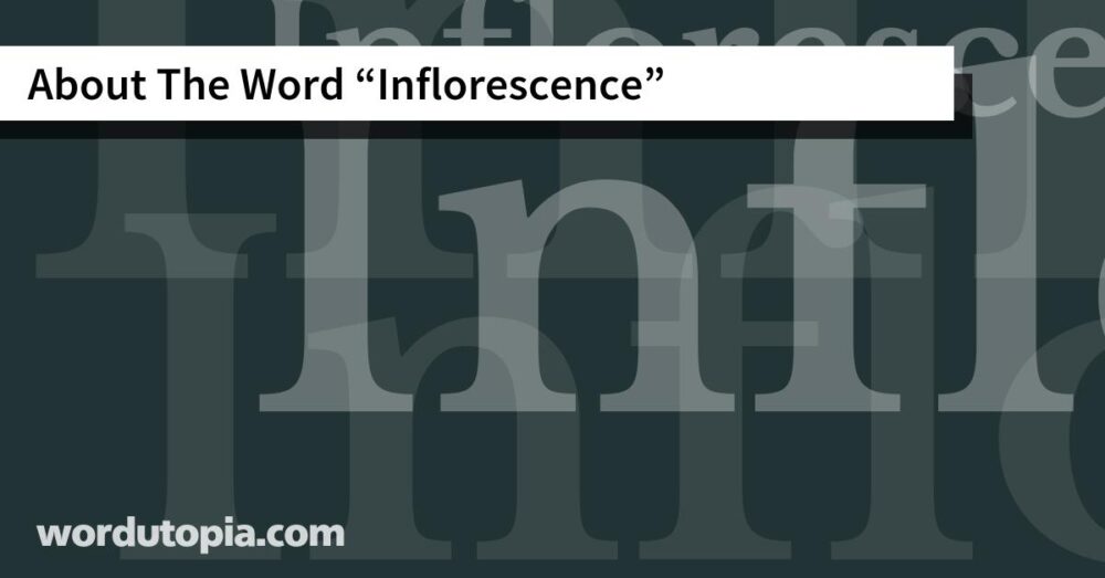 About The Word Inflorescence