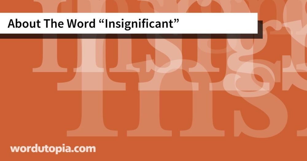 About The Word Insignificant