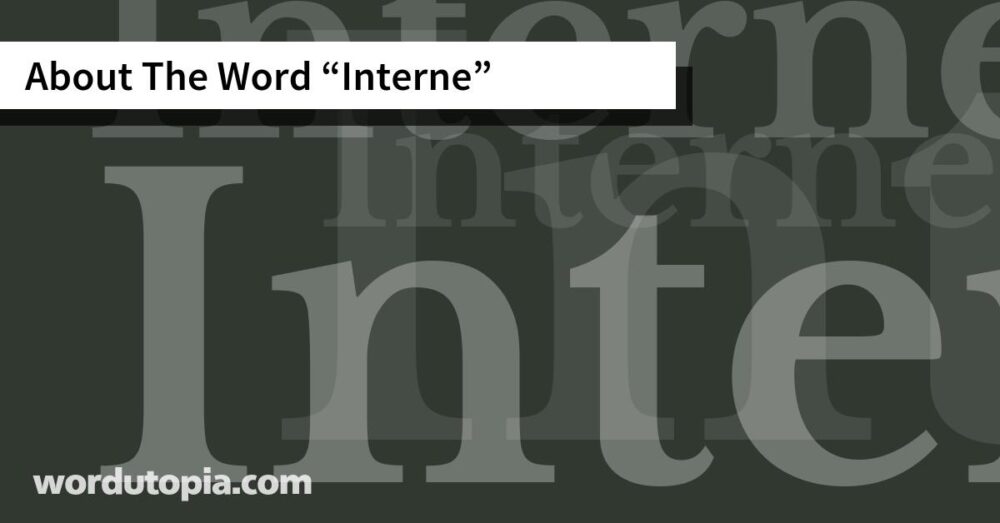 About The Word Interne