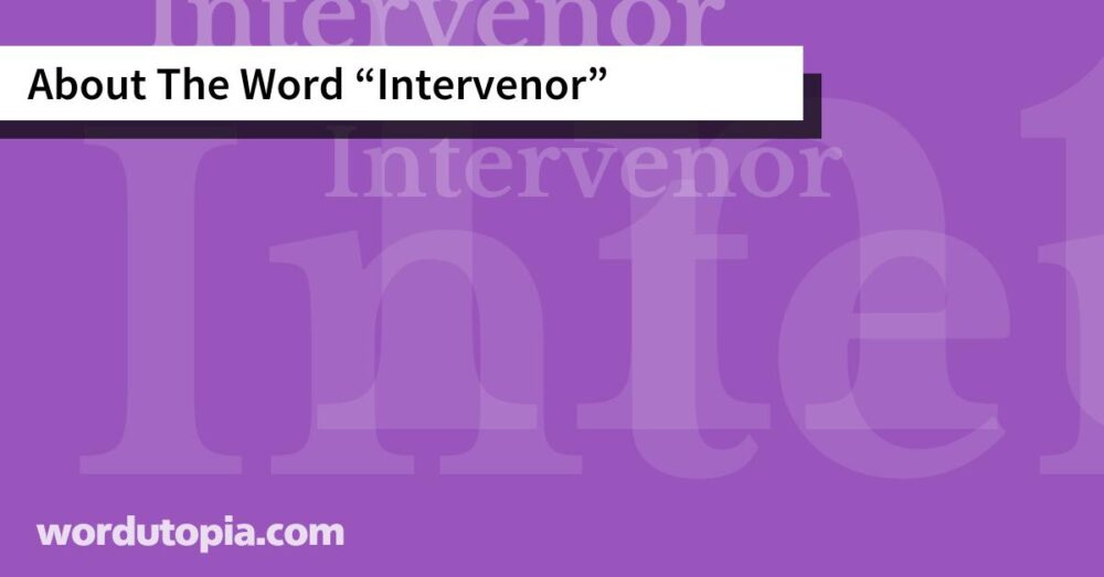 About The Word Intervenor