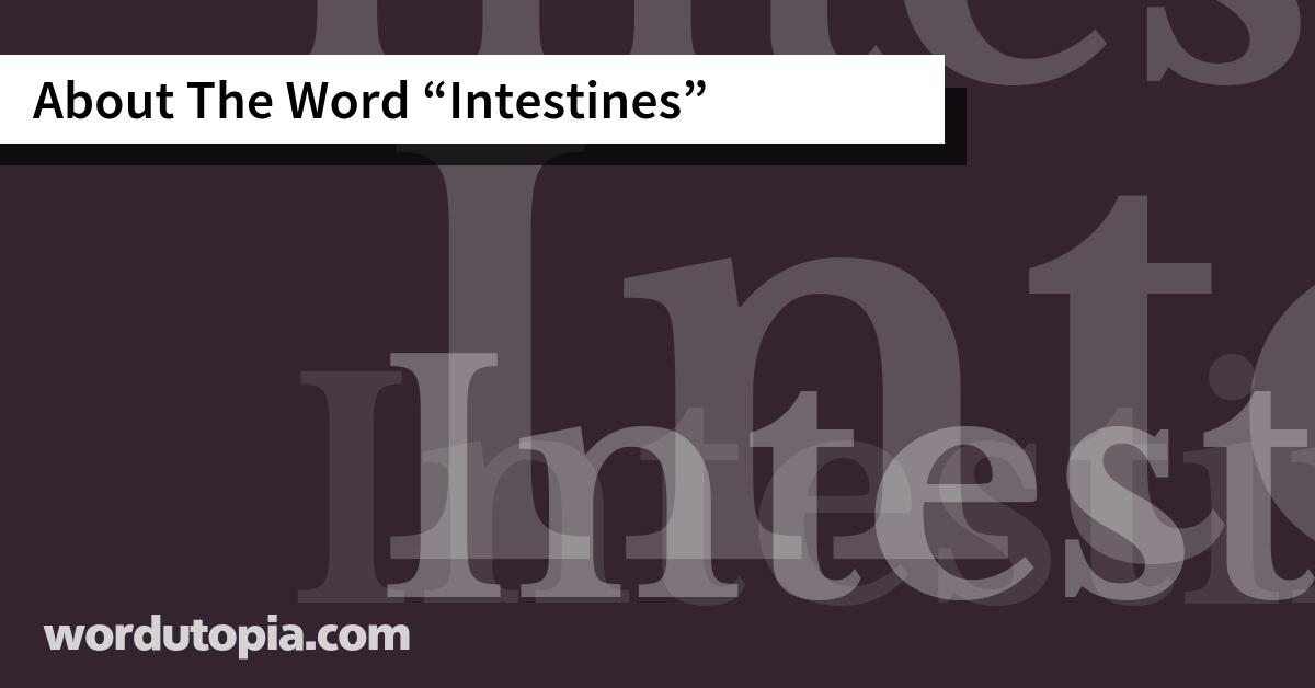 About The Word Intestines