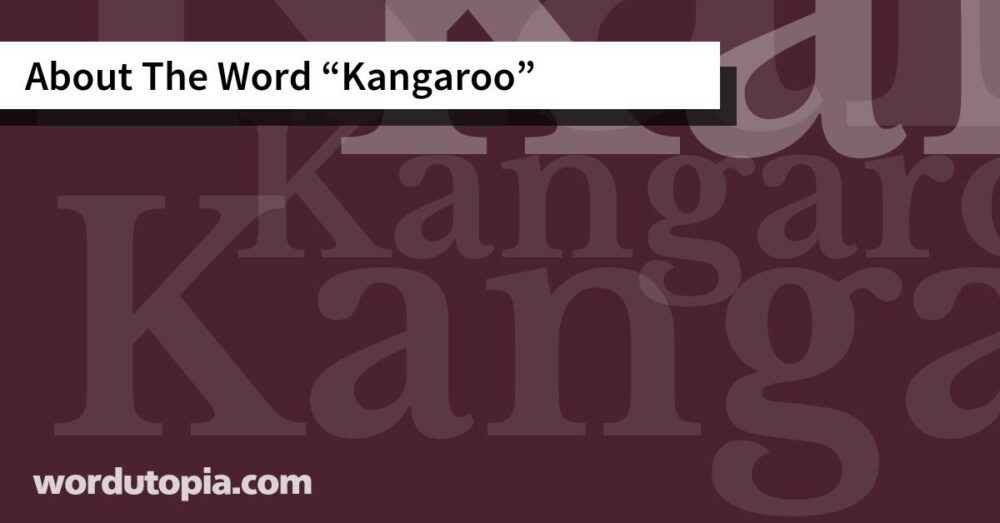 About The Word Kangaroo