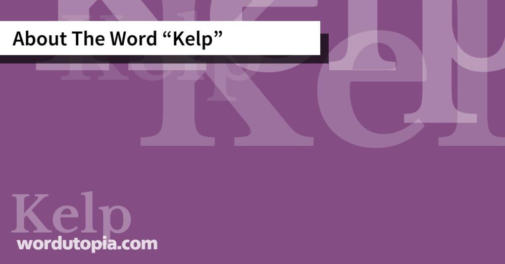 About The Word Kelp