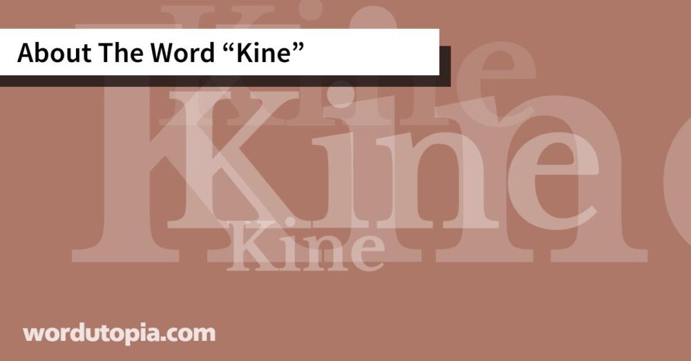 About The Word Kine