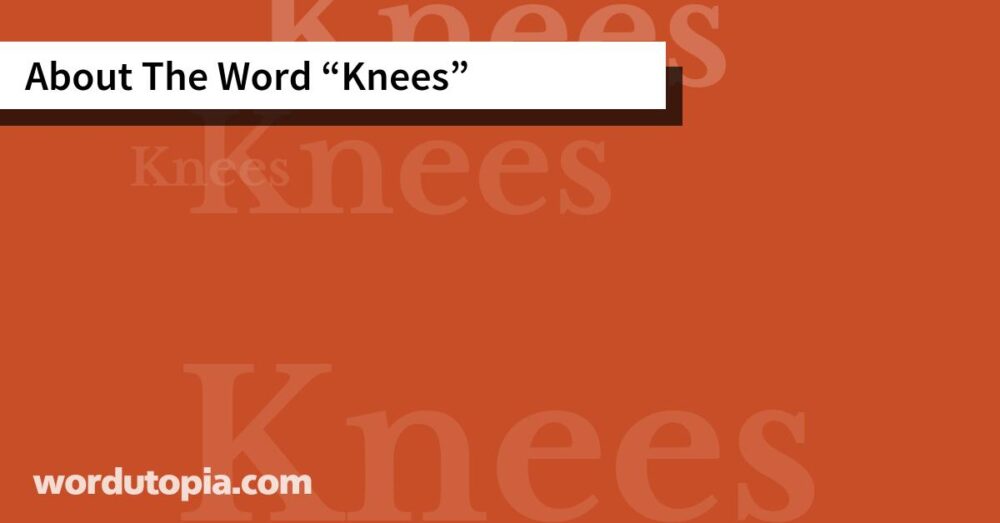 About The Word Knees