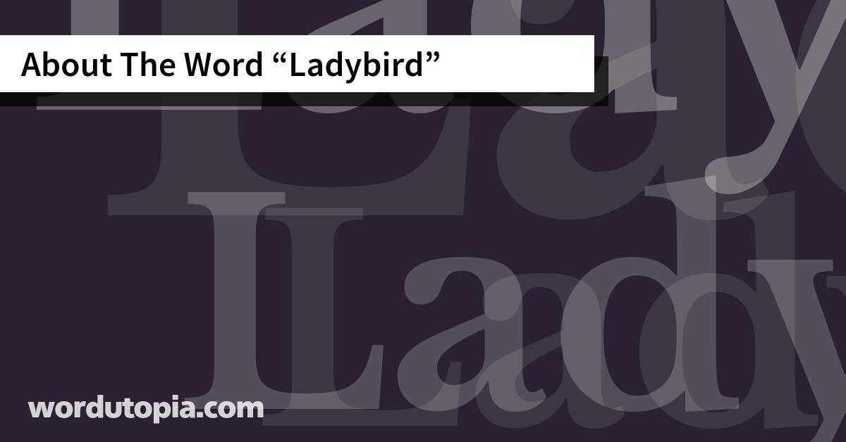 About The Word Ladybird