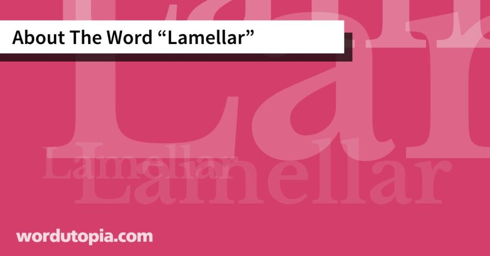 About The Word Lamellar
