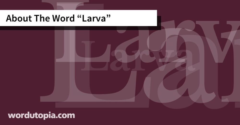About The Word Larva
