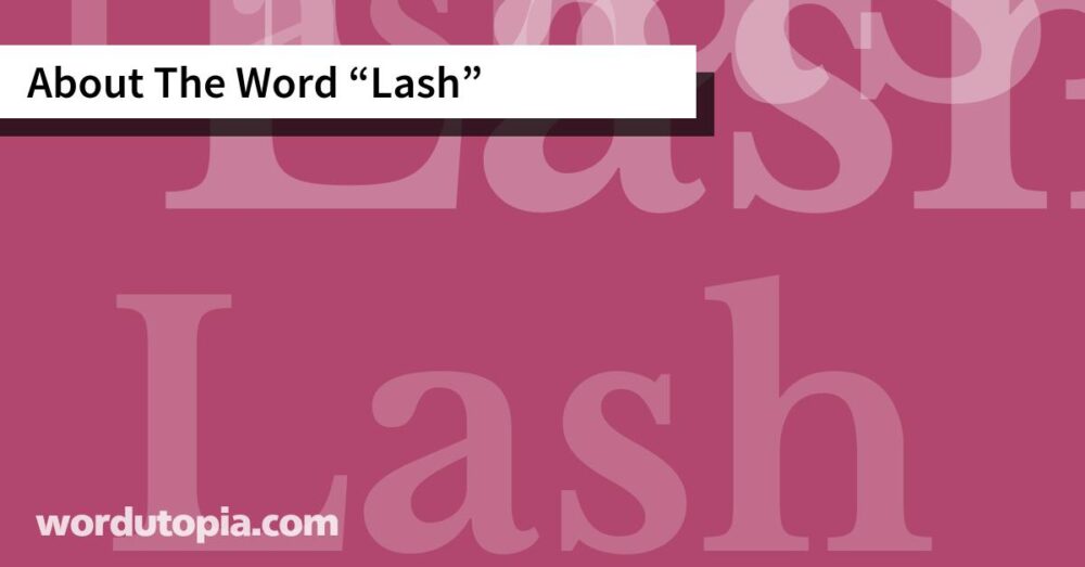 About The Word Lash