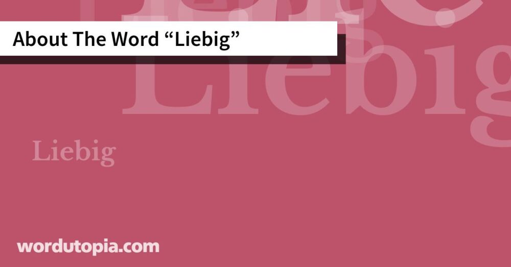 About The Word Liebig