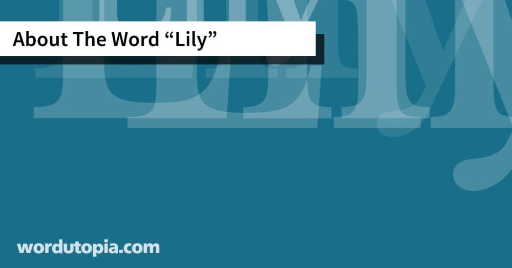 About The Word Lily