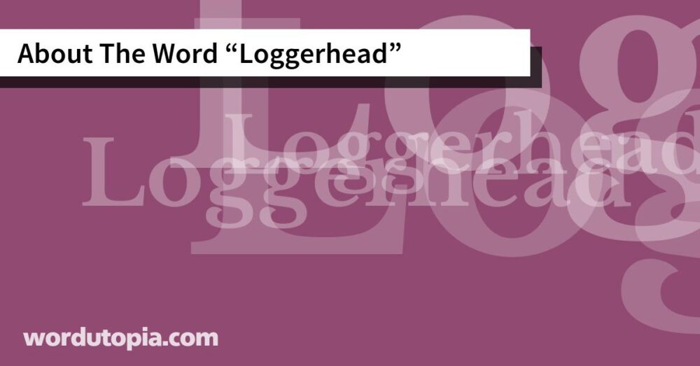 About The Word Loggerhead