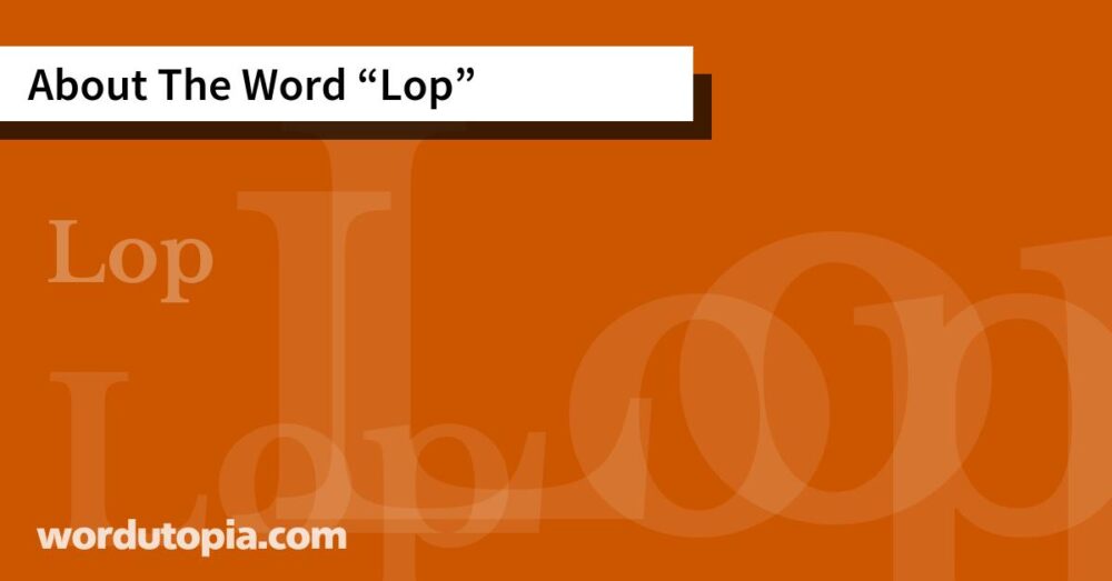 About The Word Lop