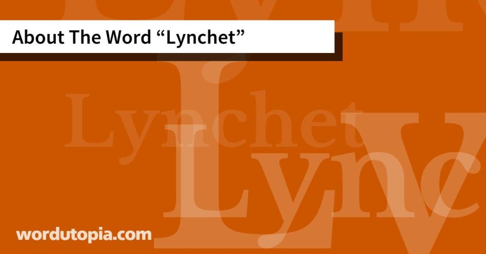 About The Word Lynchet