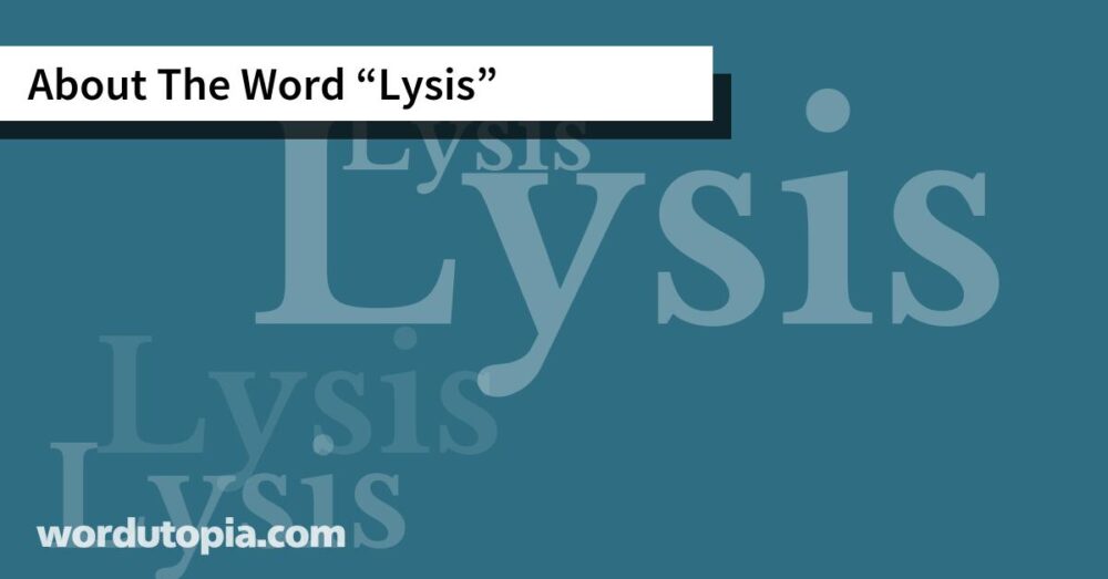 About The Word Lysis