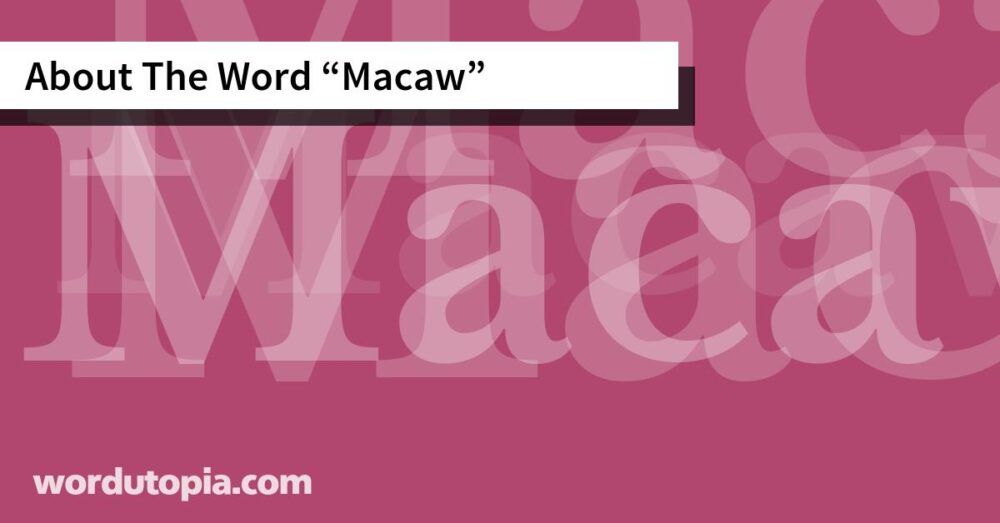About The Word Macaw