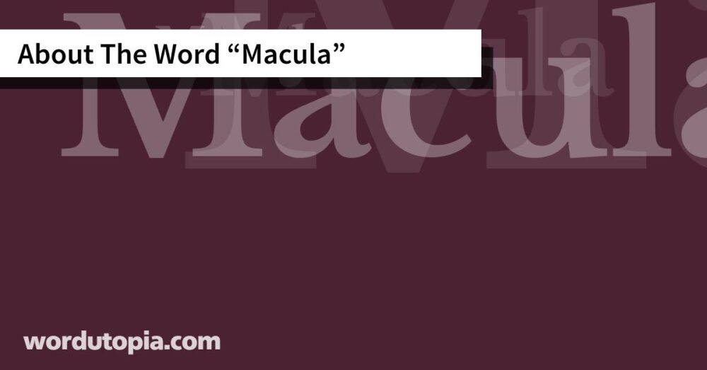 About The Word Macula