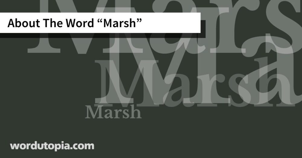 About The Word Marsh