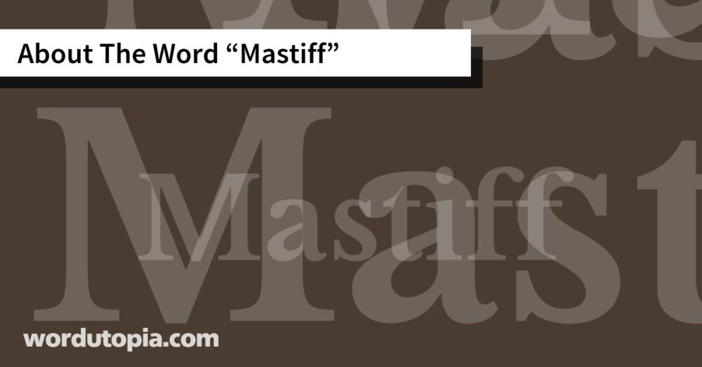 About The Word Mastiff