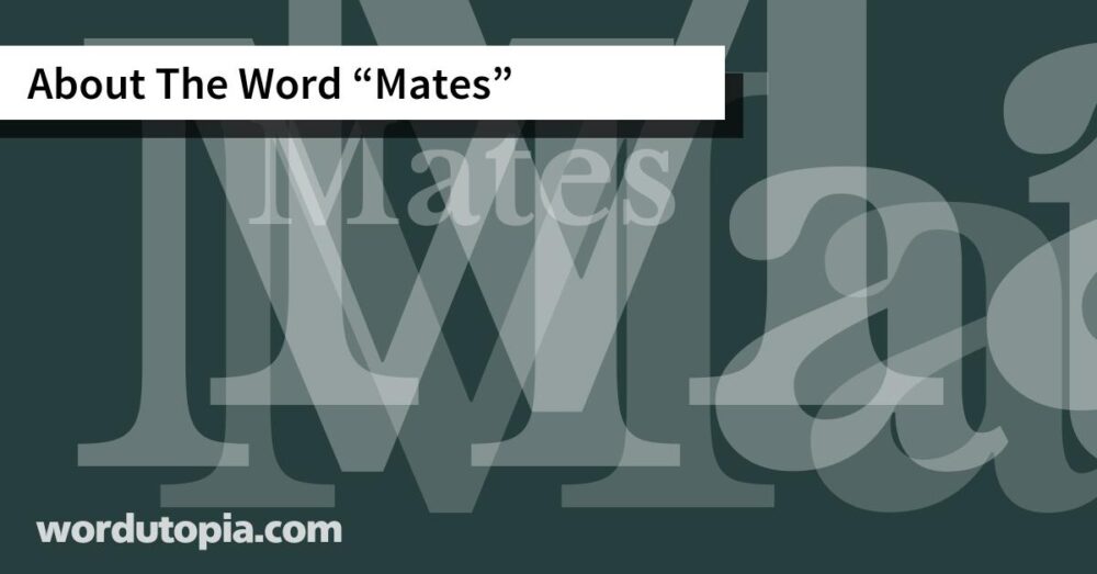 About The Word Mates