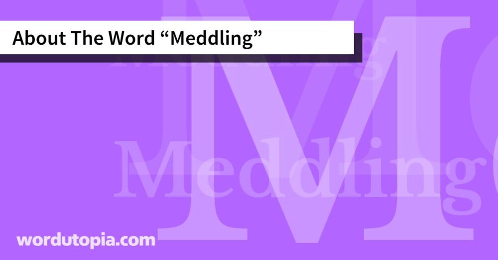 About The Word Meddling