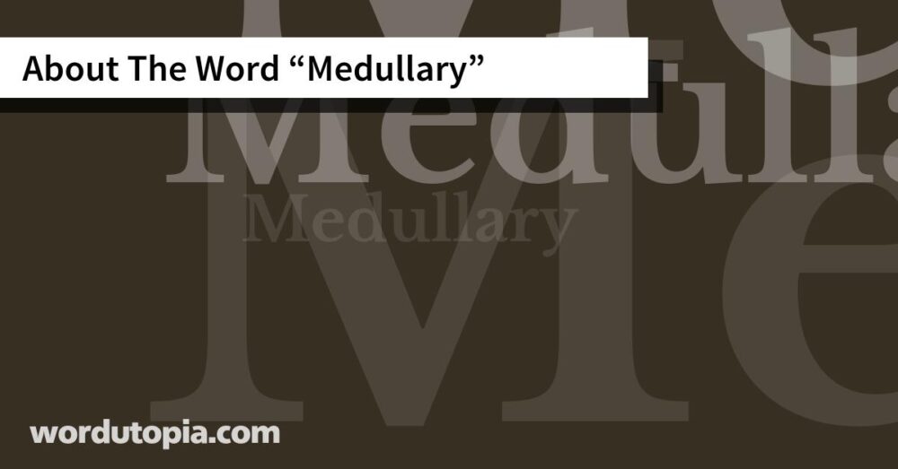 About The Word Medullary