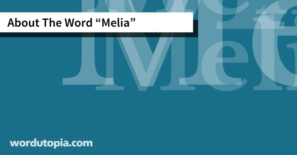 About The Word Melia