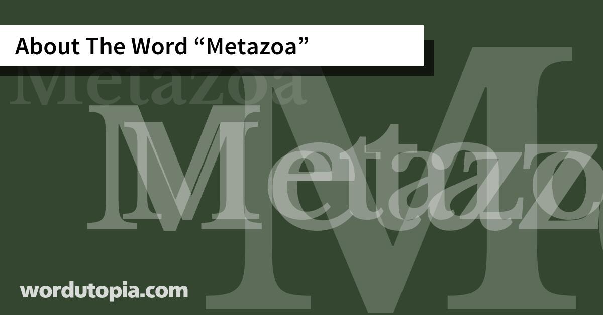 About The Word Metazoa