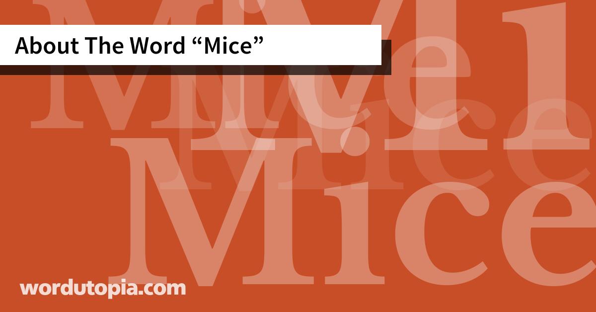 About The Word Mice