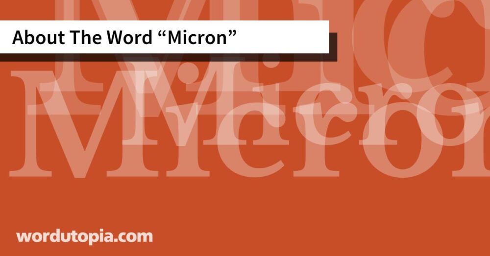 About The Word Micron