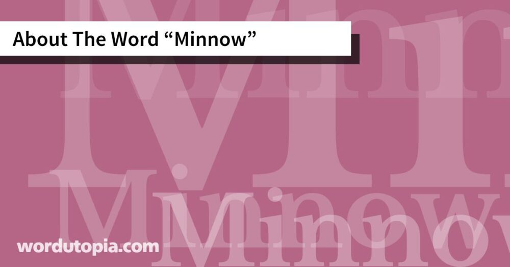 About The Word Minnow