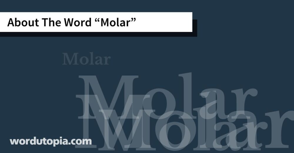 About The Word Molar